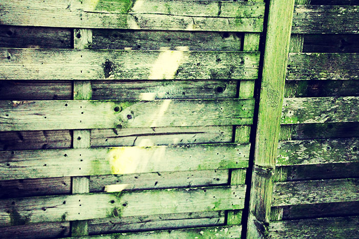 Holzbretterwand grün Vintage