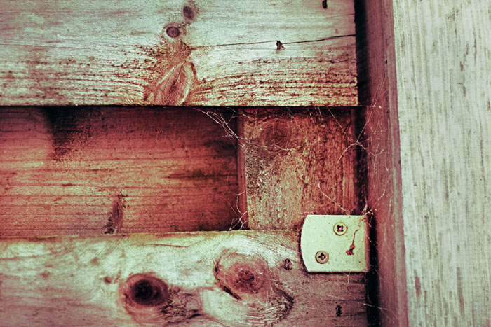 Holzwand Vintage mit Spinnweben