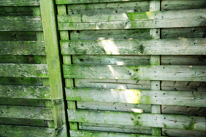 grüne Holztrennwand in Garten