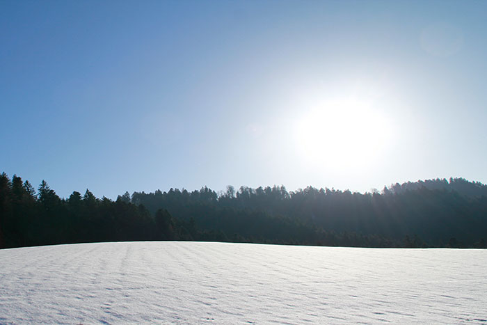 Schneefeld, Bäume und blauer Himmel, Sonne