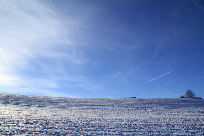 schneebedecktes Feld mit Baum und blauem Himmel