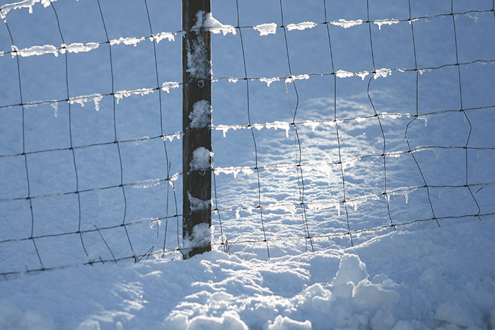 Zaun mit Schnee und Eis